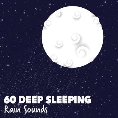 Rain Birds and Trees