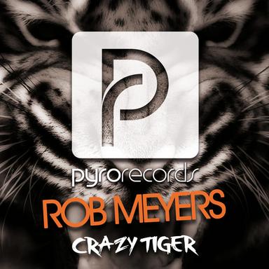 Crazy Tiger - Radio Edit