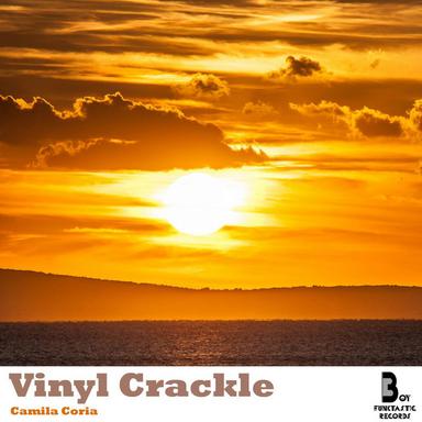 Vinyl Crackle - Original mix