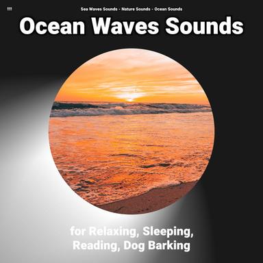 Serene Wave Sounds