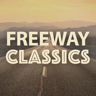 Skin Trade - Radio Cut