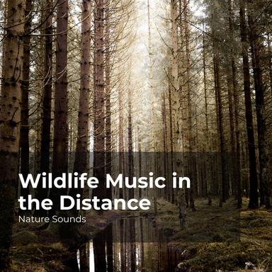 Lush Tropical Forest