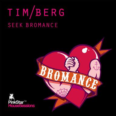 Seek Bromance - Avicii Vocal Extended