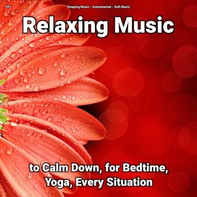 Relaxing Music for Dog Barking