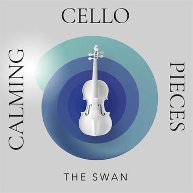 Cello Sonata in G Minor, Op. 65: III. Largo
