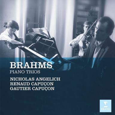 Brahms: Piano Trio No. 1 in B Major, Op. 8: I. Allegro con brio