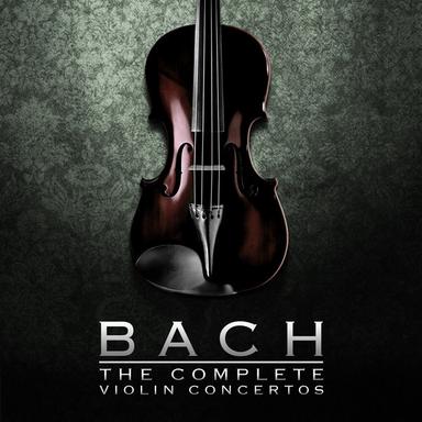 Concerto in A Minor for Harpsichord, Flute, Violin and Orchestra, BWV 1044: II. Adagio ma non tanto e dolce