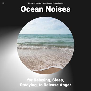 Asmr Ambience to Work To