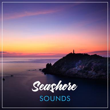 Gentle Waves on a Quiet Beach