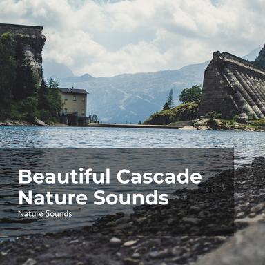 Riverside Relaxation