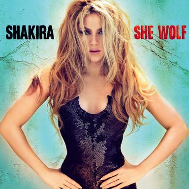 She Wolf - Calvin Harris Remix