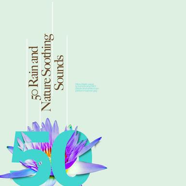 Rain on Caravan Roof