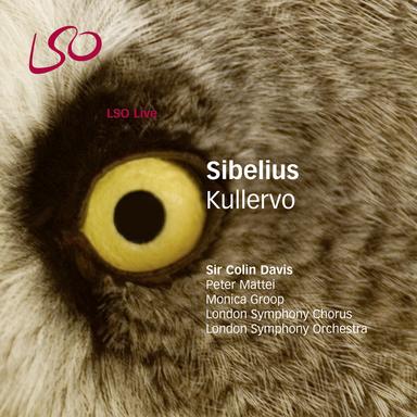 Kullervo, Op. 7: I. Introduction