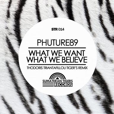 What We Want What We Believe - Thodoris Triantafillou Tiger's Remix