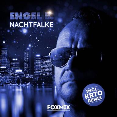 Nachtfalke