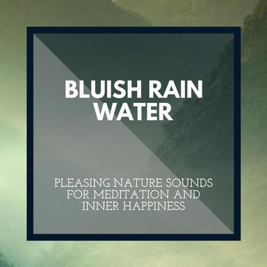 Oceanfront Palm Resort