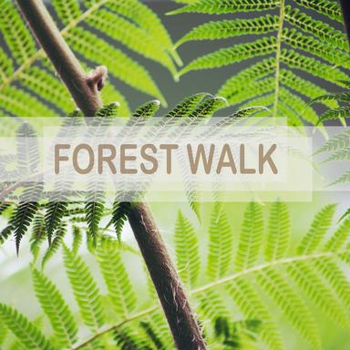 Tropical Nature Sounds