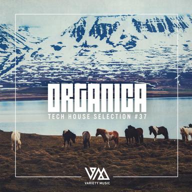 All Over - Original Mix