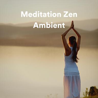 Meditation Zen Ambient, Pt. 6