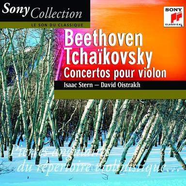 Violin Concerto in D Major, Op. 35, TH 59: I. Allegro moderato