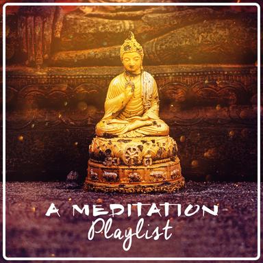 More Tinnitus Therapy