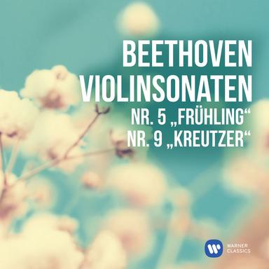 Beethoven: Violin Sonata No. 5 in F Major, Op. 24 "Spring": III. Scherzo. Allegro molto