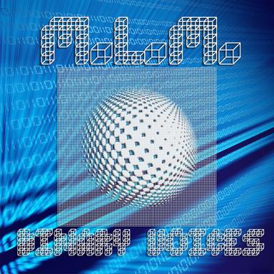 Binary Voices - Club Edit
