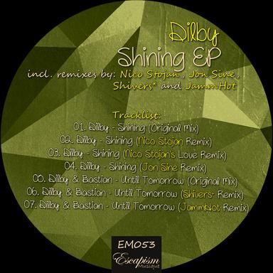 Shining - Nico Stojan's Love Remix