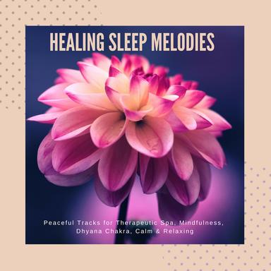 Beauty Of Birds - Original Mix