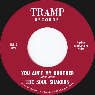 You Ain't My Brother