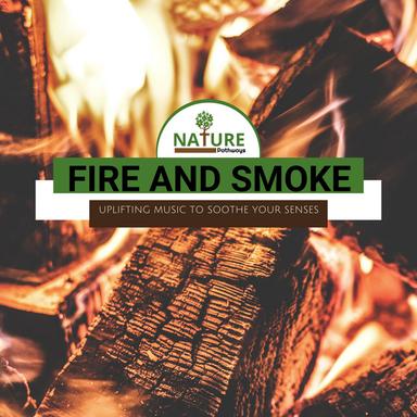 Feeling the Bright Campfire