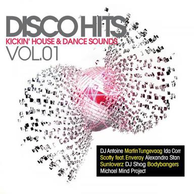 Jungle Fever - Maxxdrums Remix Edit