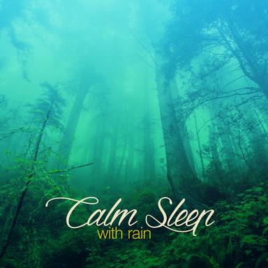 Rain Showers and Birds